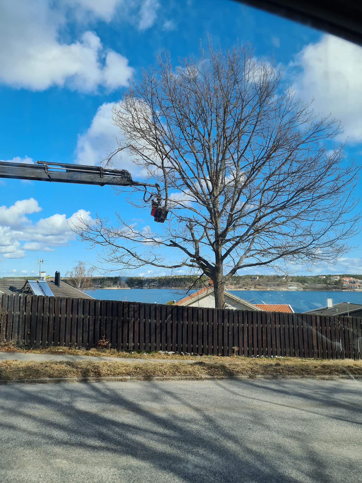 Trädservice med kranbil - säker trädfällning