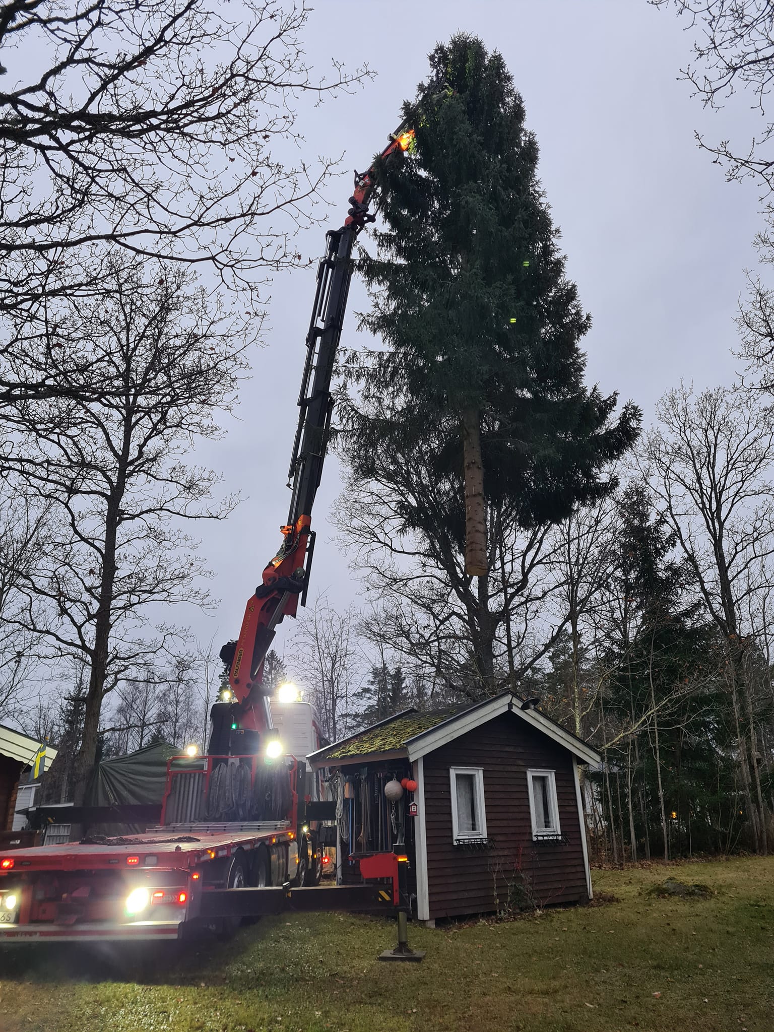 Trädfällning med precisionskran